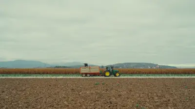 Image 3 sur 24 — L'Odyssée du Chou